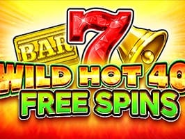 Wild Hot 40 Free Spins screenshot